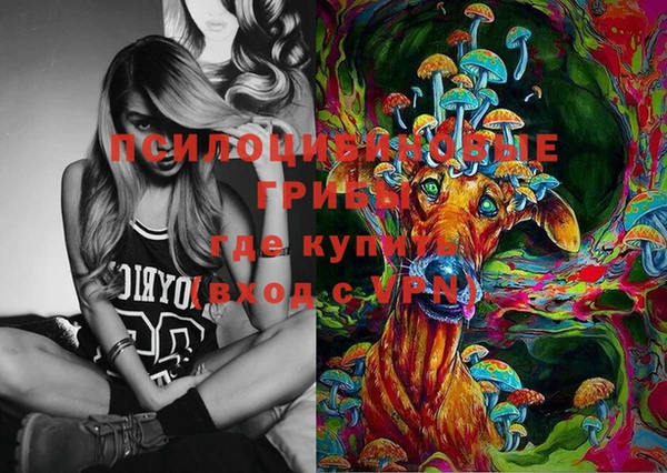сатива Бугульма