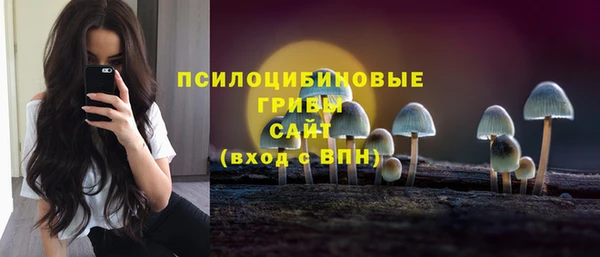 экстази Богородск