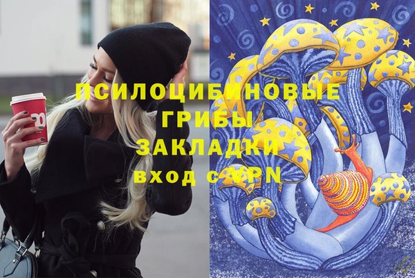 mdma Богородицк