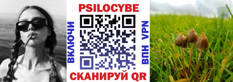 где купить наркоту  kraken вход  Псилоцибиновые грибы ЛСД  Туран 